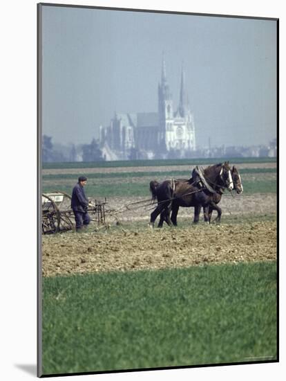 French Farmer Laying Fertilizer on His Field with a Team of Percheron Horses-Loomis Dean-Mounted Photographic Print