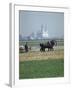 French Farmer Laying Fertilizer on His Field with a Team of Percheron Horses-Loomis Dean-Framed Photographic Print