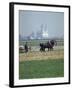 French Farmer Laying Fertilizer on His Field with a Team of Percheron Horses-Loomis Dean-Framed Photographic Print