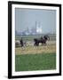 French Farmer Laying Fertilizer on His Field with a Team of Percheron Horses-Loomis Dean-Framed Photographic Print