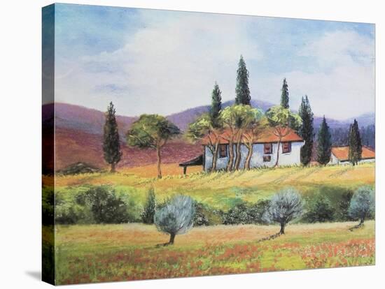 French farmland,  pastel-Margo Starkey-Stretched Canvas