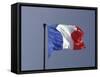 French Flag, France-David Barnes-Framed Stretched Canvas