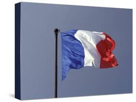 French Flag, France-David Barnes-Stretched Canvas