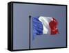 French Flag, France-David Barnes-Framed Stretched Canvas