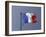 French Flag, France-David Barnes-Framed Premium Photographic Print