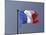 French Flag, France-David Barnes-Mounted Premium Photographic Print