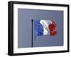 French Flag, France-David Barnes-Framed Photographic Print