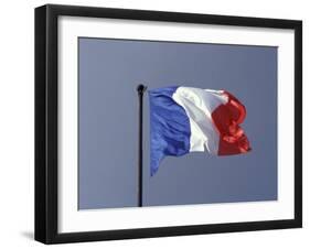 French Flag, France-David Barnes-Framed Photographic Print