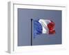 French Flag, France-David Barnes-Framed Photographic Print