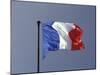 French Flag, France-David Barnes-Mounted Photographic Print