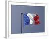 French Flag, France-David Barnes-Framed Photographic Print