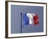 French Flag, France-David Barnes-Framed Photographic Print