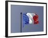 French Flag, France-David Barnes-Framed Photographic Print