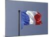 French Flag, France-David Barnes-Mounted Photographic Print