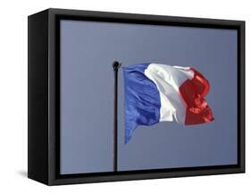 French Flag, France-David Barnes-Framed Stretched Canvas