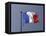 French Flag, France-David Barnes-Framed Stretched Canvas