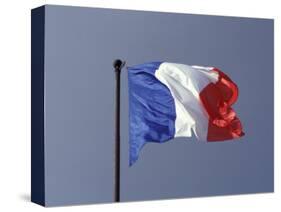 French Flag, France-David Barnes-Stretched Canvas