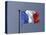 French Flag, France-David Barnes-Stretched Canvas