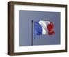 French Flag, France-David Barnes-Framed Photographic Print