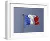 French Flag, France-David Barnes-Framed Photographic Print