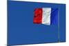 French Flag-Hans Peter Merten-Mounted Photographic Print