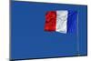 French Flag-Hans Peter Merten-Mounted Photographic Print