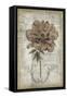 French Floral II-Jennifer Goldberger-Framed Stretched Canvas