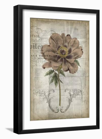 French Floral II-Jennifer Goldberger-Framed Art Print