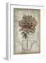 French Floral II-Jennifer Goldberger-Framed Art Print