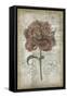 French Floral IV-Jennifer Goldberger-Framed Stretched Canvas
