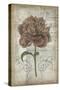French Floral IV-Jennifer Goldberger-Stretched Canvas
