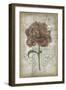 French Floral IV-Jennifer Goldberger-Framed Art Print