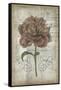 French Floral IV-Jennifer Goldberger-Framed Stretched Canvas