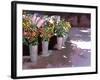 French Flower market, 2007-Clive Metcalfe-Framed Giclee Print