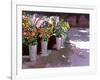 French Flower market, 2007-Clive Metcalfe-Framed Giclee Print