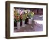 French Flower market, 2007-Clive Metcalfe-Framed Giclee Print