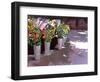 French Flower market, 2007-Clive Metcalfe-Framed Giclee Print