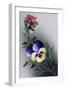 French Flower Postcard, C1900-null-Framed Giclee Print