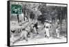 French Foreign Legion, Sidi Bel Abbes, Algeria, 1910-null-Framed Stretched Canvas