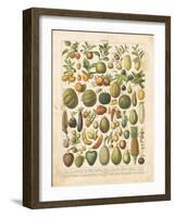 French Fruit Chart-Gwendolyn Babbitt-Framed Art Print