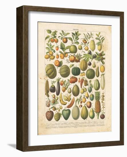 French Fruit Chart-Gwendolyn Babbitt-Framed Art Print