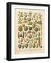 French Fruit Chart-Gwendolyn Babbitt-Framed Art Print