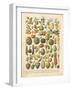 French Fruit Chart-Gwendolyn Babbitt-Framed Art Print