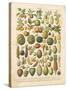 French Fruit Chart-Gwendolyn Babbitt-Stretched Canvas