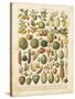 French Fruit Chart-Gwendolyn Babbitt-Stretched Canvas