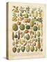 French Fruit Chart-Gwendolyn Babbitt-Stretched Canvas