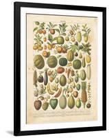 French Fruit Chart-Gwendolyn Babbitt-Framed Art Print