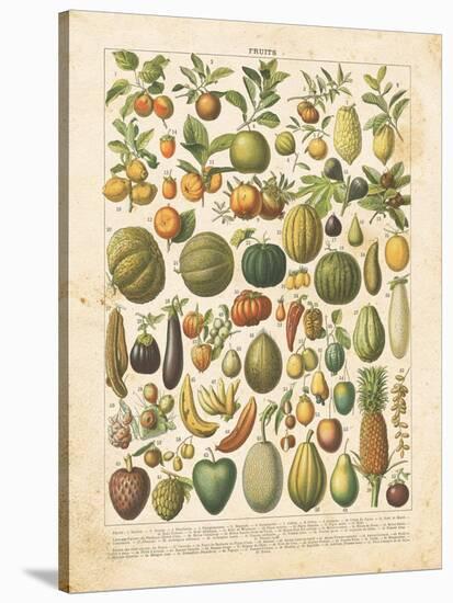 French Fruit Chart-Gwendolyn Babbitt-Stretched Canvas