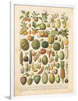 French Fruit Chart-Gwendolyn Babbitt-Framed Art Print