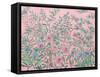 French Garden Pink-Julia Purinton-Framed Stretched Canvas